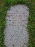 image of grave number 530456